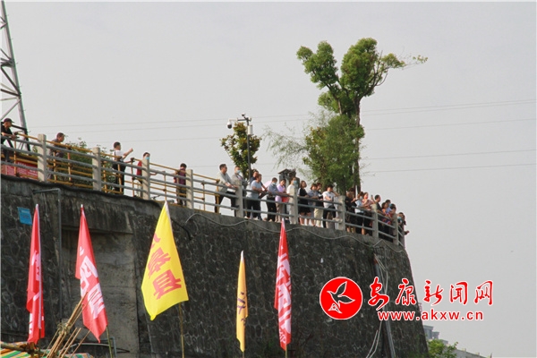 （转载）走进龙舟节 | 奋楫争先立潮头 同舟共济搏激流——让龙舟精神助推安康高质量发展