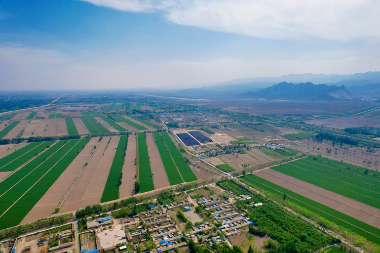 贺兰山下沃野阡陌