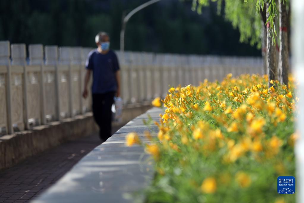 河北井陉：打造绿色城市 提升幸福指数