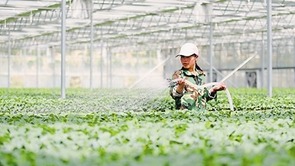 久久为功绘新卷 正是幸福梦圆时 —宁夏打赢脱贫攻坚战推进乡村振兴工作综述