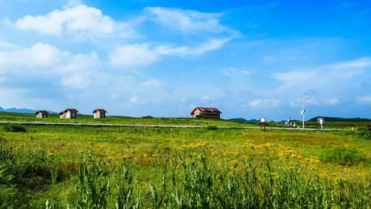 毕节百里杜鹃跳花坡景区：开启消夏之旅 让你心有所属