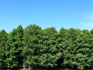 大美中国 | 端午时节纵览祖国各地美景