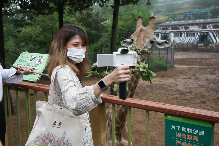 大连创建东亚文化之都｜海外旅游达人与大连的文艺浪漫撞个“满怀”_fororder_图集4