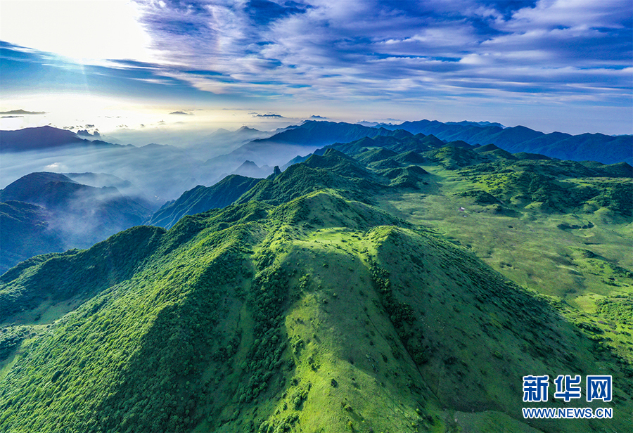 【“飞阅”中国】航拍夏日西流溪 山色青青羊群奔跑