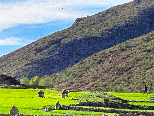 第三届时间果《古道铁骑》•重走茶马古道 感受不一样的旅途端午节