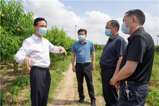 信阳市息县县委书记汪明君深入县先进制造业开发区督导检查项目建设工作_fororder_图片2