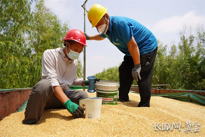 （指令）贯彻落实省委十届二次全会精神丨守住大国粮仓 让中国饭碗装上更多“河北粮”