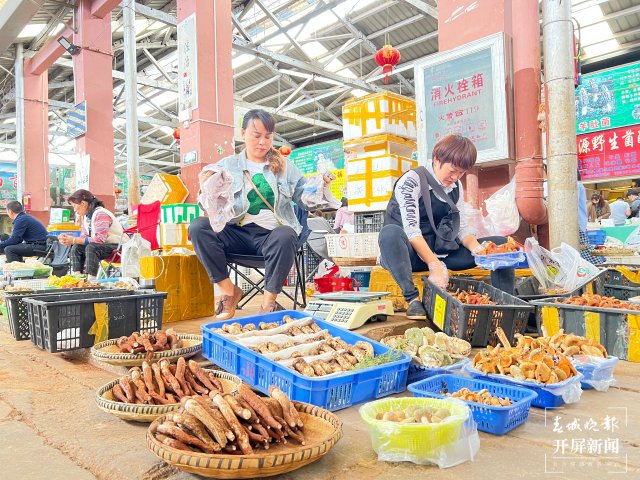 云南木水花交易中心：每天上市150吨野生菌