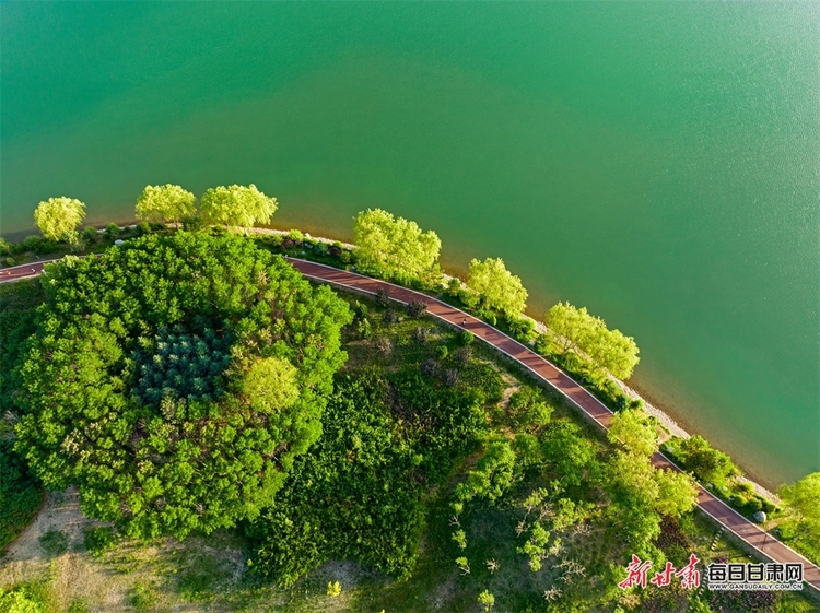 怎一个“爽”字了得 夏日到张掖芦水湾去赏景避暑_fororder_1