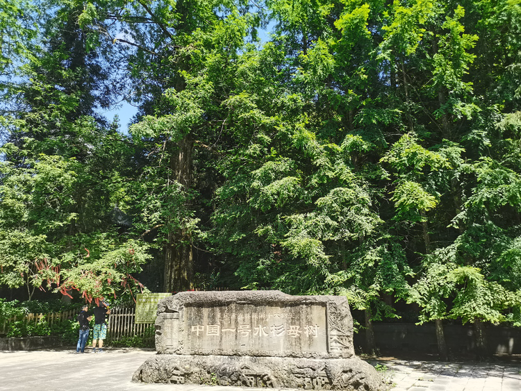 （有修改）【B】全国摄影大咖走进重庆石柱 赴一场夏天的光影盛宴