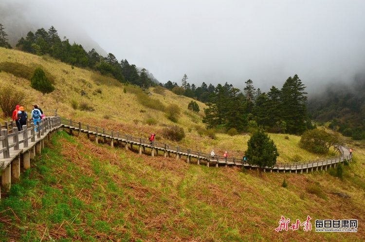 【焦点图】陇南烟雨雷古山 十里杜鹃艳_fororder_5