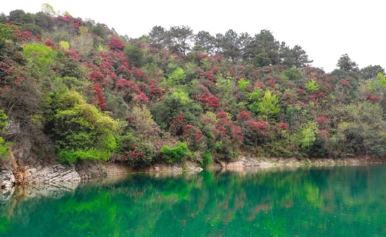 贵州长顺2022年乡村振兴旅游推介会在贵阳举行_fororder_杜鹃湖风景区