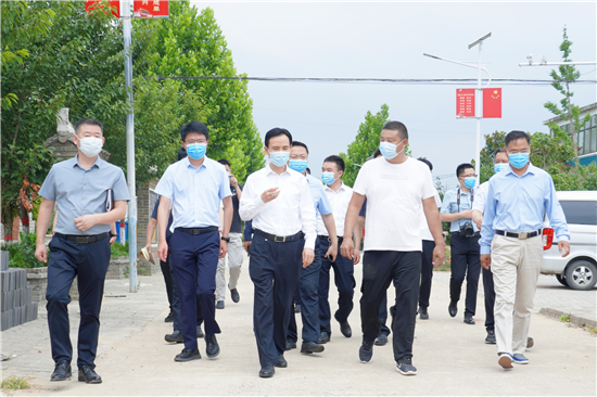 信阳市息县县委书记汪明君调研督导乡村振兴示范区建设工作_fororder_图片12