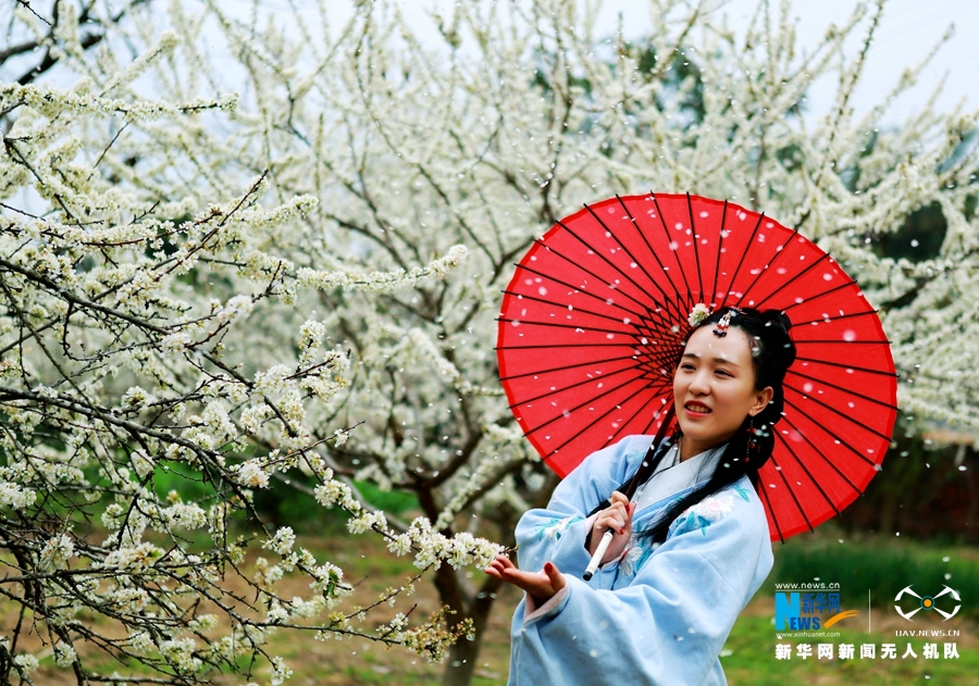 【“飞阅”中国】李花怒放！无人机带你看2018广州“初雪”