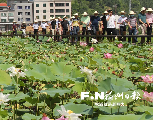 福州市美丽乡村建设暨裸房整治专题现场会在闽清举行