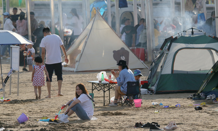 夏日里，冰城人钟情湿地游