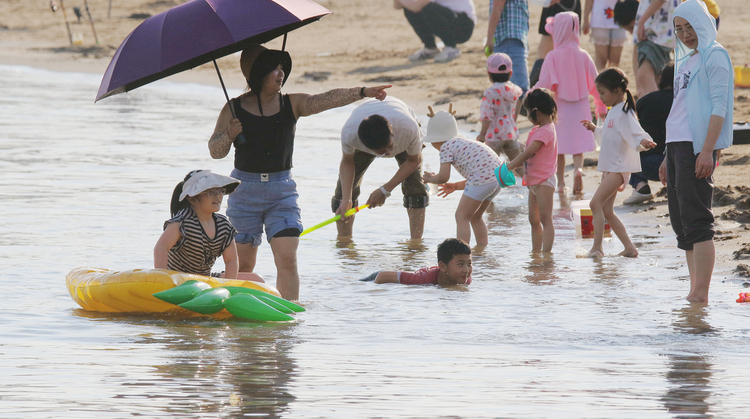 夏日里，冰城人钟情湿地游