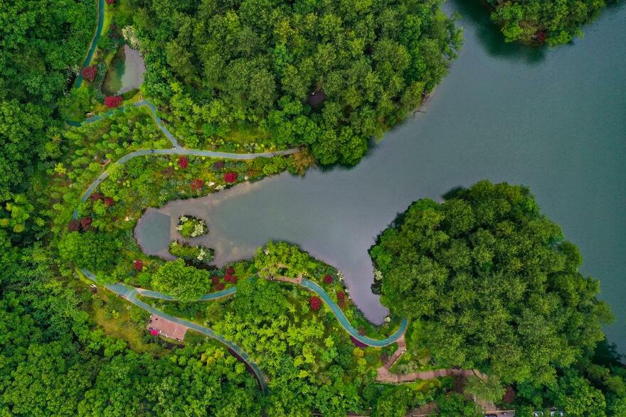 InPics: Bird's-eye View of Jinyun Mountain in Southwestern China