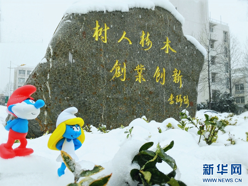 雪中南京城里的“南京灵”