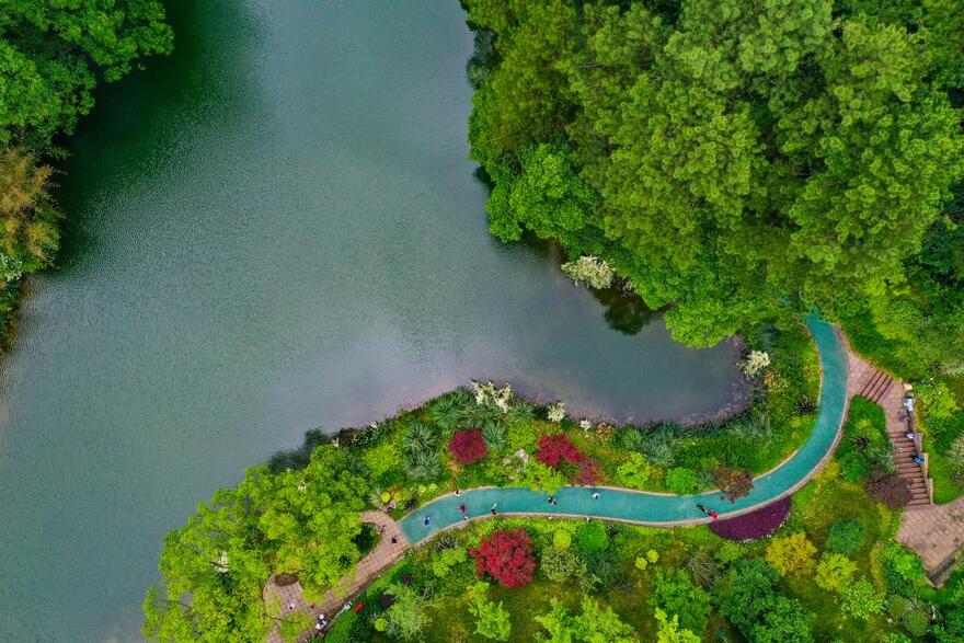 InPics: Bird's-eye View of Jinyun Mountain in Southwestern China