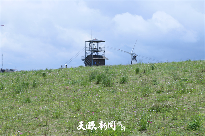 （中首）贵州龙里油画大草原：“游山玩水” 体验再升级