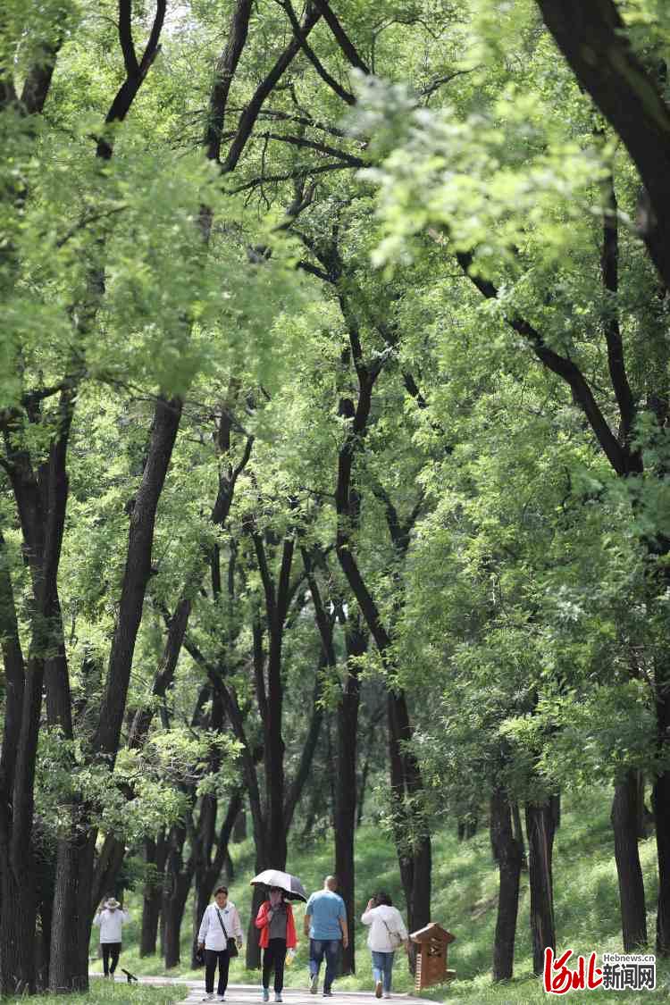 河北承德：避暑山庄好风光