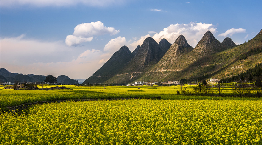 兴义万峰林景区：看峰林 赏花海，好一幅田园奇观