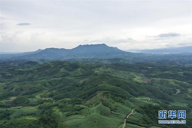 “十万大山”秋色美