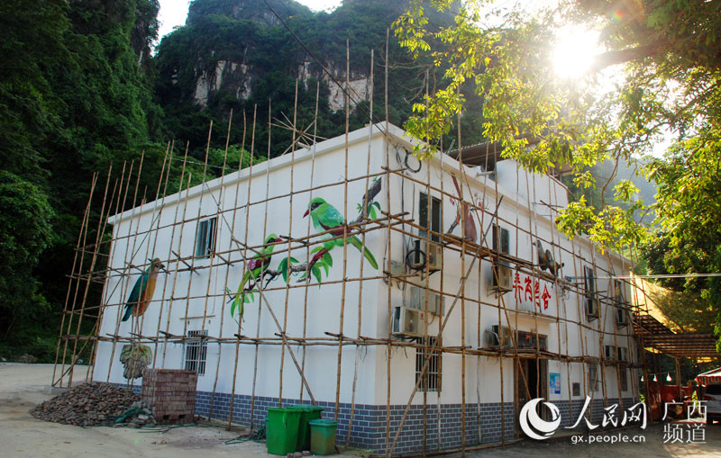 观鸟经济让村民在家门口吃“旅游饭”