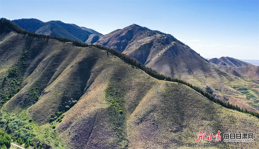 好不惬意 在景泰寿鹿山听松涛观云海_fororder_5