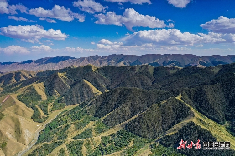 好不惬意 在景泰寿鹿山听松涛观云海_fororder_3