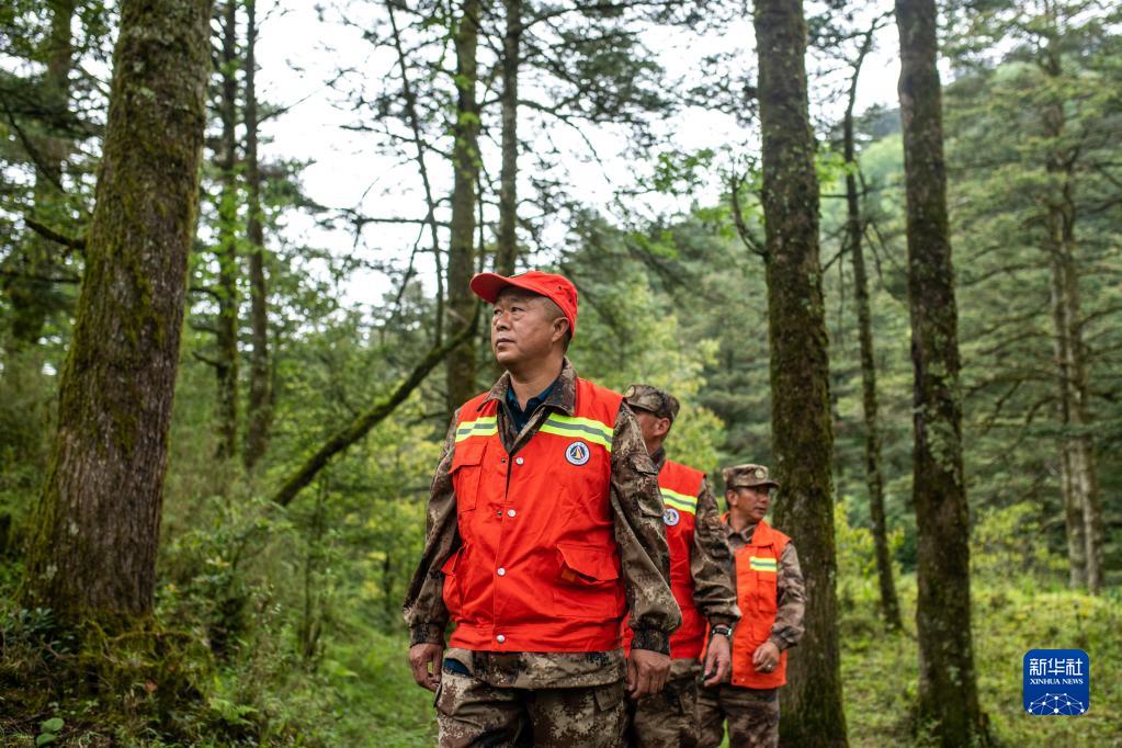 从满目疮痍到青山绿岭——云南东川的绿色蝶变