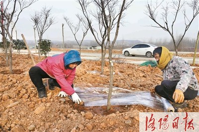 推进洛河生态治理 打造绿色生活长廊