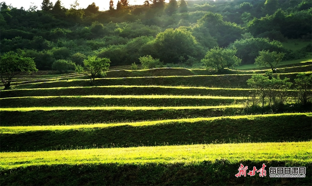 【大美甘肃】都是封面 天水清水非子牧场有你不曾见过的风景_fororder_7