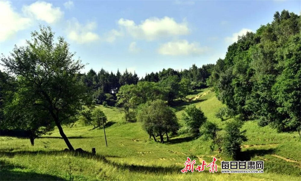 【焦点图】夏日 在华亭关山坐看云起静听松涛_fororder_3