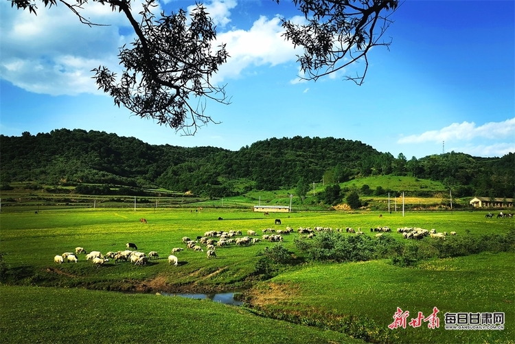 【大美甘肃】都是封面 天水清水非子牧场有你不曾见过的风景_fororder_5