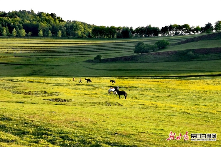 【大美甘肃】都是封面 天水清水非子牧场有你不曾见过的风景_fororder_11