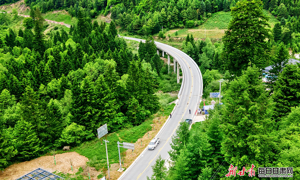 陇南宕昌：山乡公路助力乡村振兴“加速跑”_fororder_2