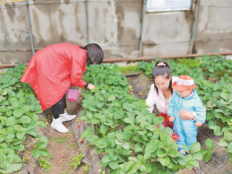 乡村游如何成为振兴新引擎？