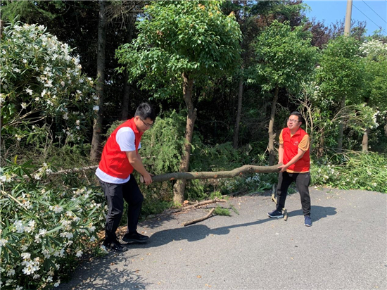 苏州相城度假区（阳澄湖镇）：村企协同解决“树线”矛盾 精准发力保障供电_fororder_2