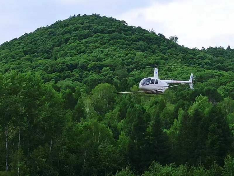 龙江森工：“飞防”护林健康