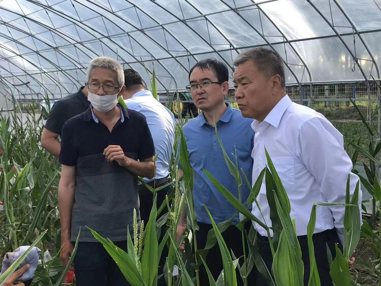 黑龙江首个生物育种战略合作在齐齐哈尔签约