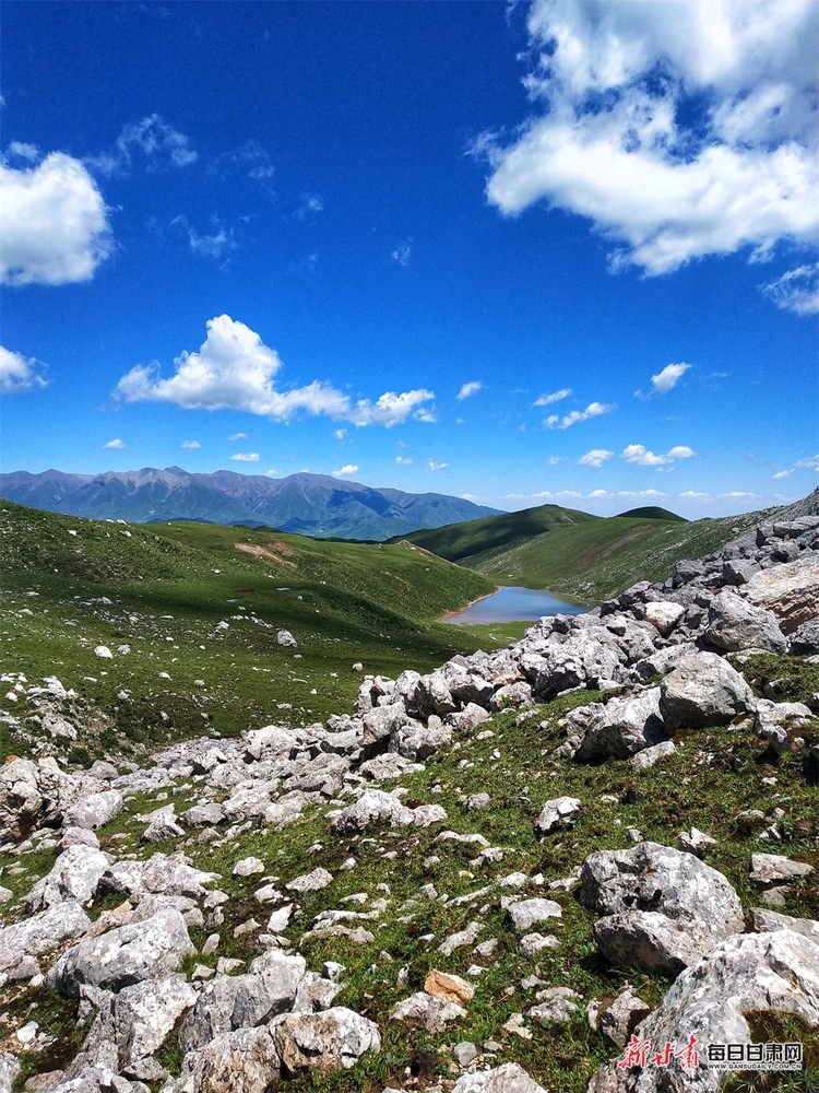 【轮播图】躺在草原看雪山 听着牧歌赏杜鹃 天祝的夏日美得让人窒息_fororder_5