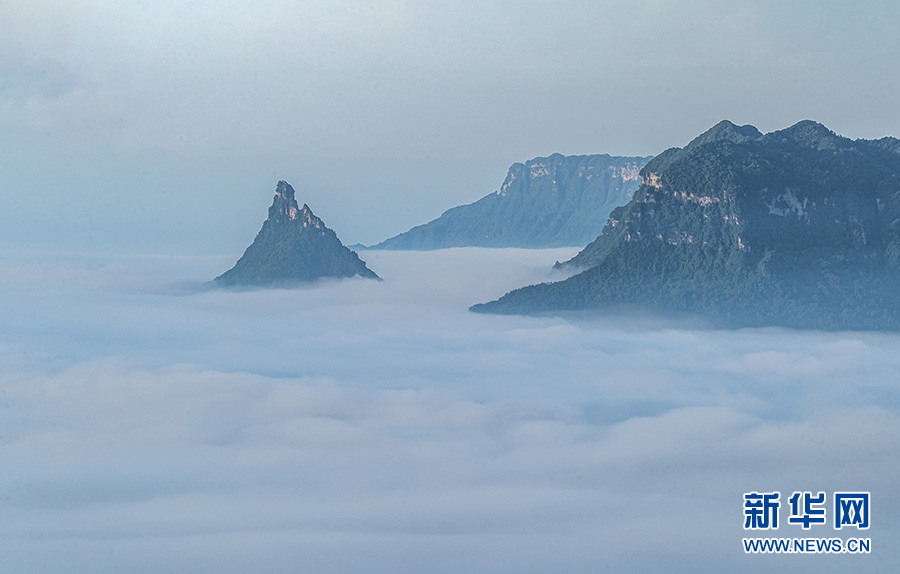 重庆：走进夏日金佛山 赏喀斯特云雾风光