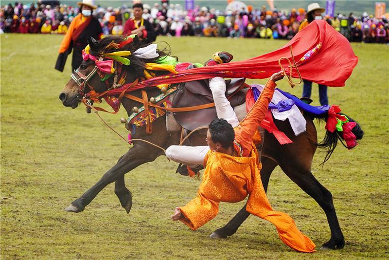 The 2020 Tourism and Culture Festival of Ganzi，Sichuan opens in Litang County, Ganzi Prefecture, Sichuan Province, China_fororder_2