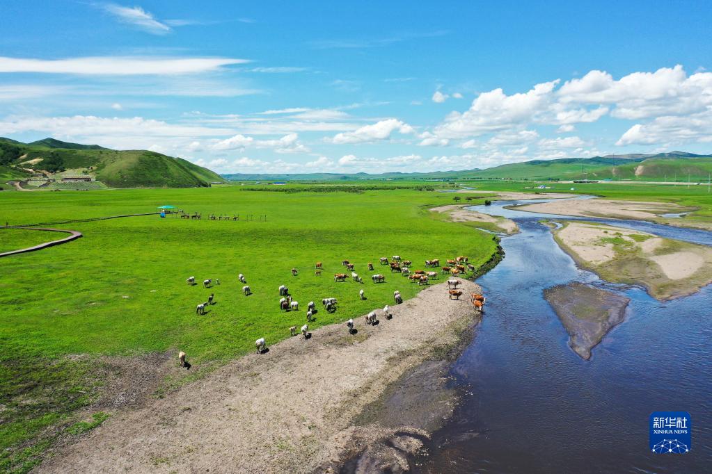 乌兰毛都草原夏日美景