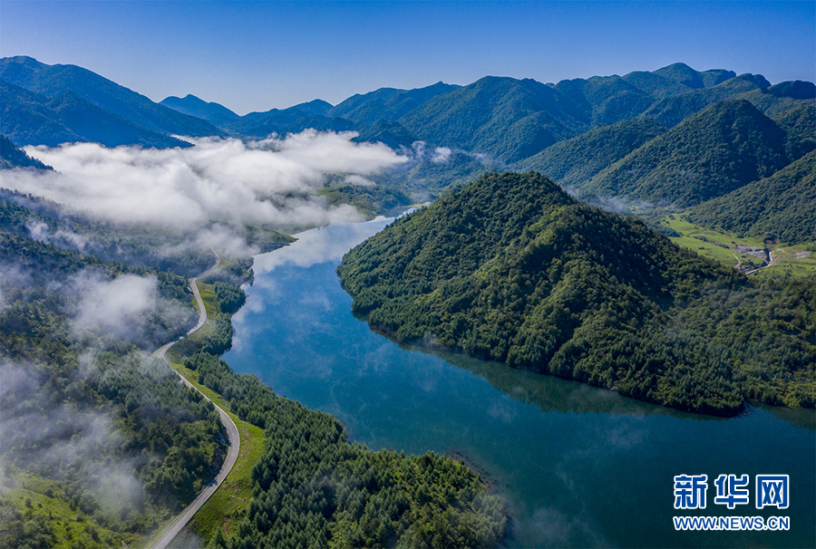 【“飞阅”中国】航拍夏日西流溪 山色青青羊群奔跑