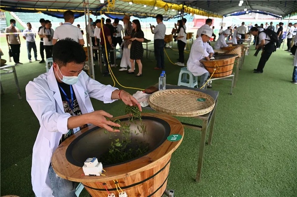 贵州省第十一届手工制茶技能大赛：弘扬工匠精神 助力乡村振兴