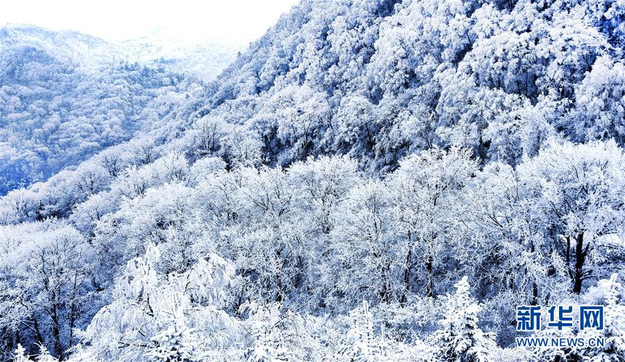 陕西汉中：雪后初霁紫柏山