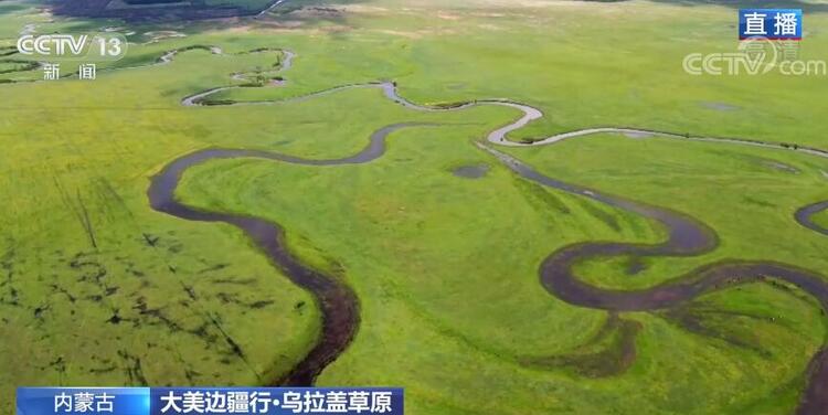 【大美边疆行】乌拉盖草原：碧草毡房牛羊壮 休牧归来绿满坡